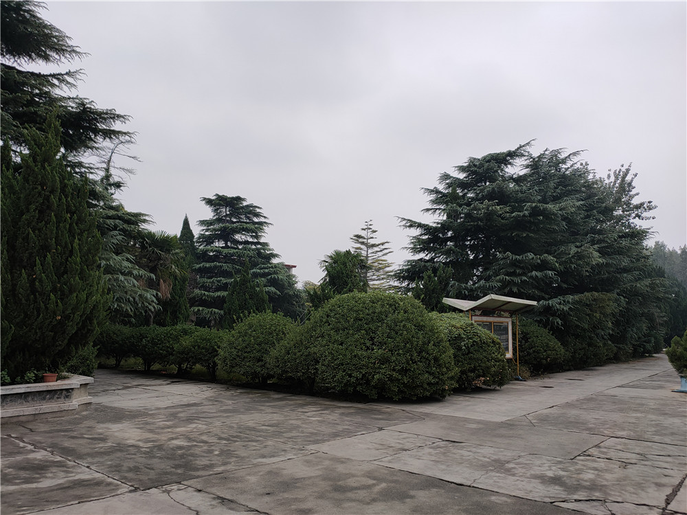 廠(chǎng)區(qū)展示
